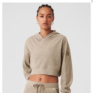 ALO muse hoodie. Brand new in gravel color. Size M